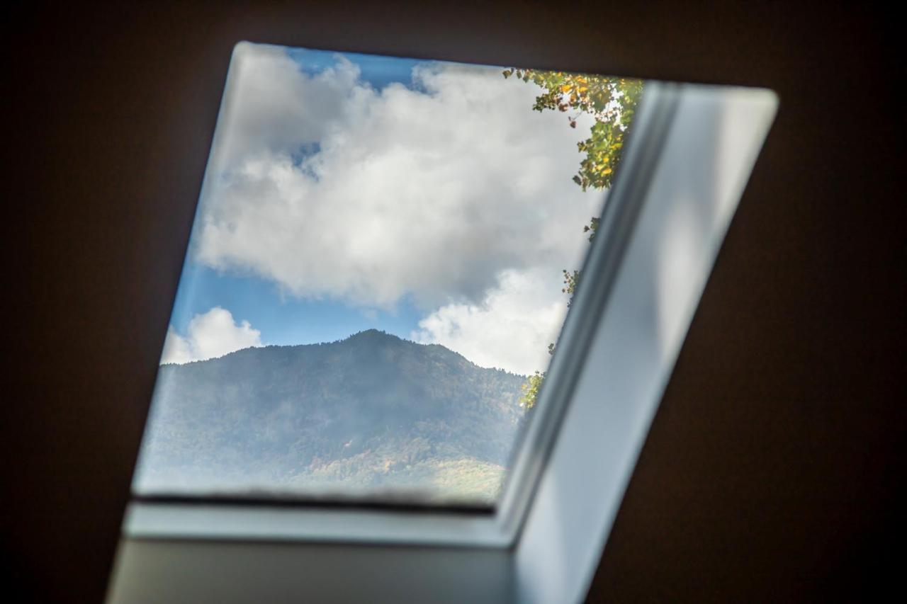 Villa Mount Mitchell Eco Retreat Busick Exterior foto